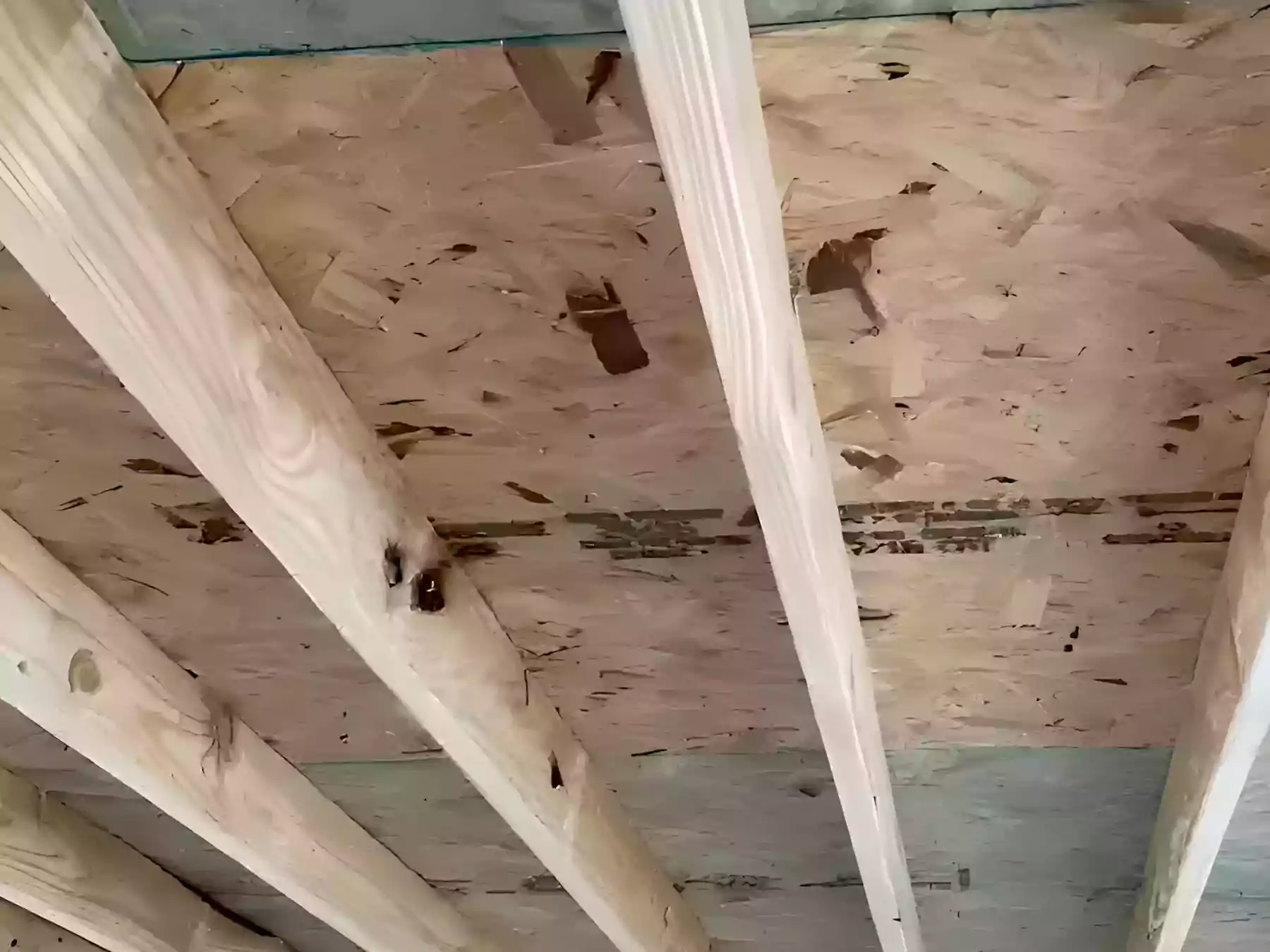 Pro-Tect Roofing and Exteriors