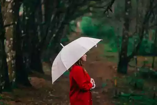Roof Leaking