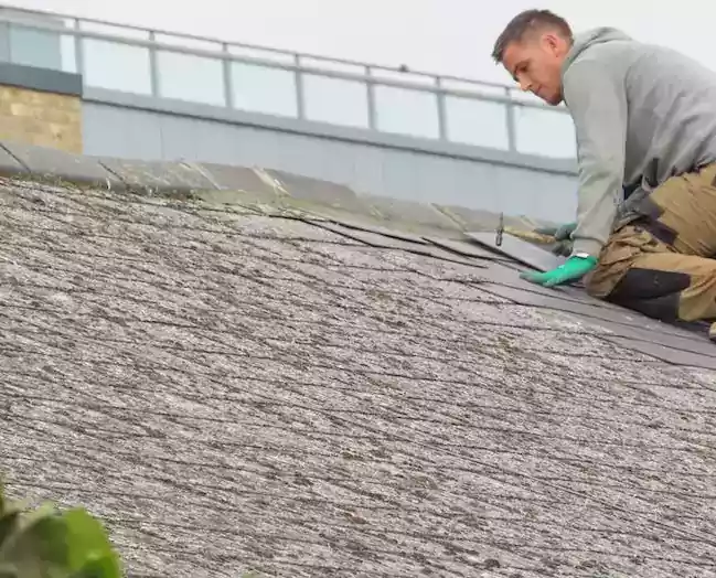 Roof Leaks
