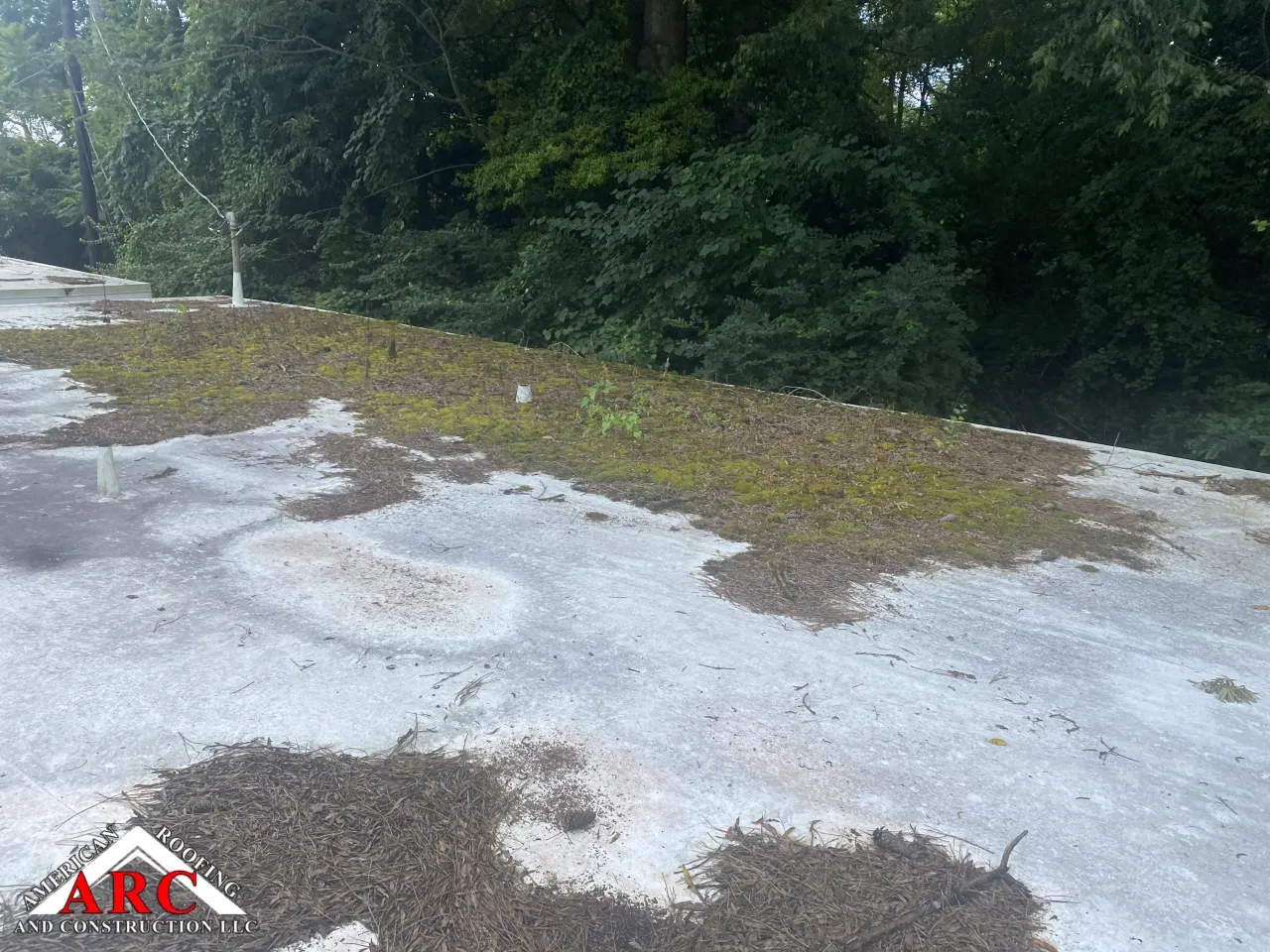 Roof repair tpo
